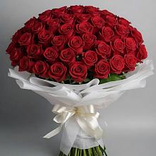 Букет 101 Красная роза Блэк Мэджик в Новорождественской