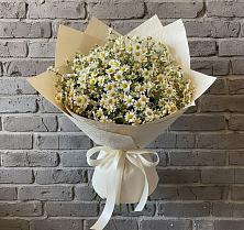 Букет цветов из:  Ромашки #REPLACE_PRED# Новорождественской
