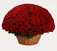 Премиум букет из: Розы в Новорождественской