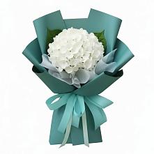 Букет цветов из:  Гортензия в Новорождественской